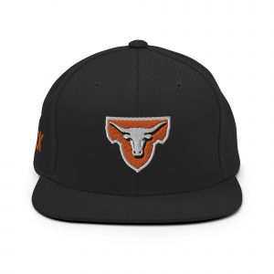 Bull-T logo Snapback Hat